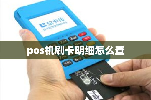 pos机刷卡明细怎么查