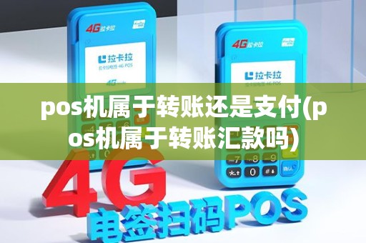 pos机属于转账还是支付(pos机属于转账汇款吗)