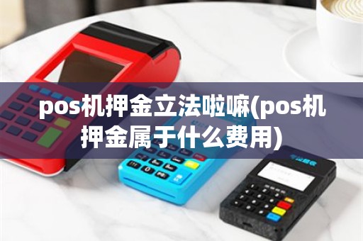 pos机押金立法啦嘛(pos机押金属于什么费用)