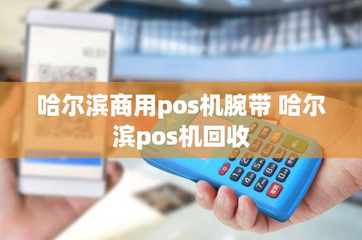 哈尔滨商用pos机腕带 哈尔滨pos机回收