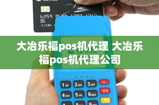 大冶乐福pos机代理 大冶乐福pos机代理公司