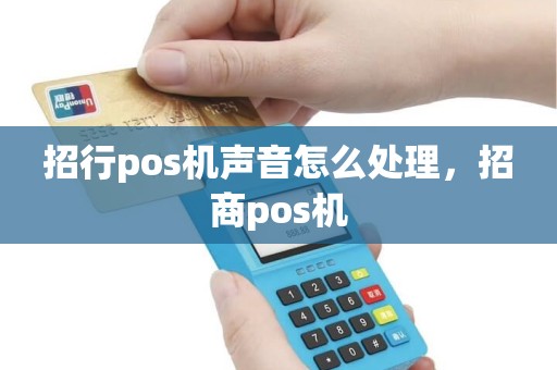 招行pos机声音怎么处理，招商pos机