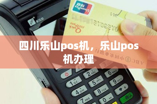 四川乐山pos机，乐山pos机办理