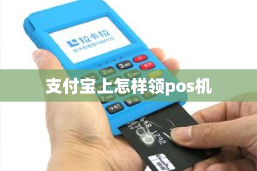 支付宝上怎样领pos机