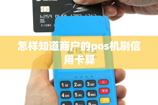 怎样知道商户的pos机刷信用卡算