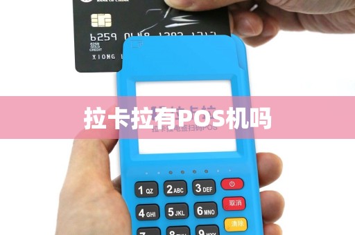 拉卡拉有POS机吗
