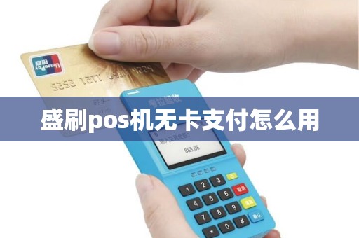 盛刷pos机无卡支付怎么用