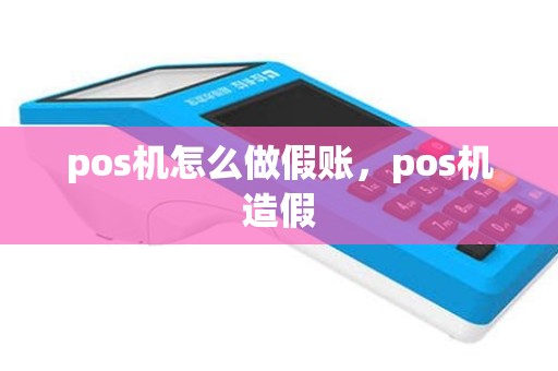 pos机怎么做假账，pos机造假