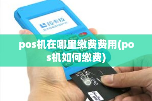 pos机在哪里缴费费用(pos机如何缴费)