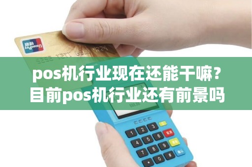 pos机行业现在还能干嘛？目前pos机行业还有前景吗