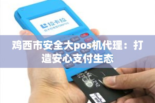 鸡西市安全大pos机代理：打造安心支付生态