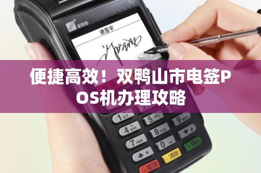 便捷高效！双鸭山市电签POS机办理攻略
