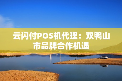 云闪付POS机代理：双鸭山市品牌合作机遇