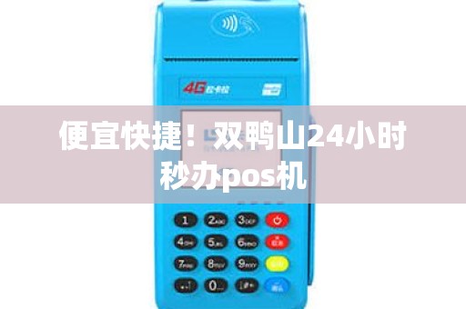 便宜快捷！双鸭山24小时秒办pos机