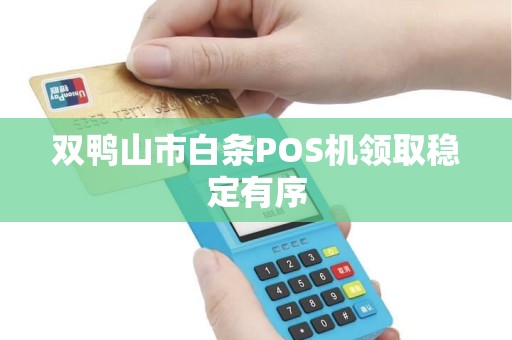 双鸭山市白条POS机领取稳定有序