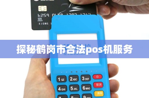 探秘鹤岗市合法pos机服务