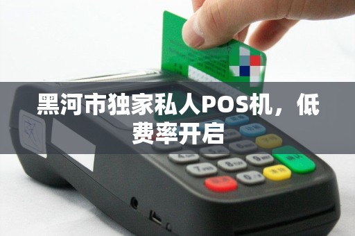 黑河市独家私人POS机，低费率开启