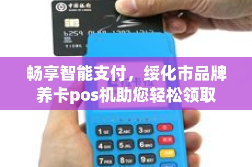 畅享智能支付，绥化市品牌养卡pos机助您轻松领取