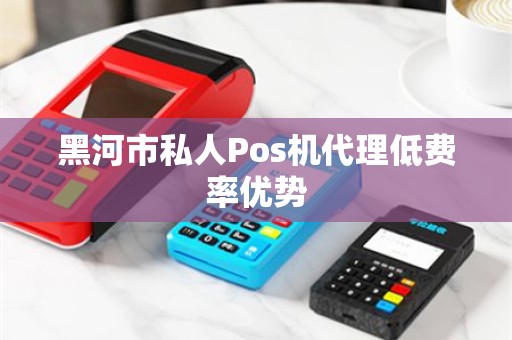 黑河市私人Pos机代理低费率优势