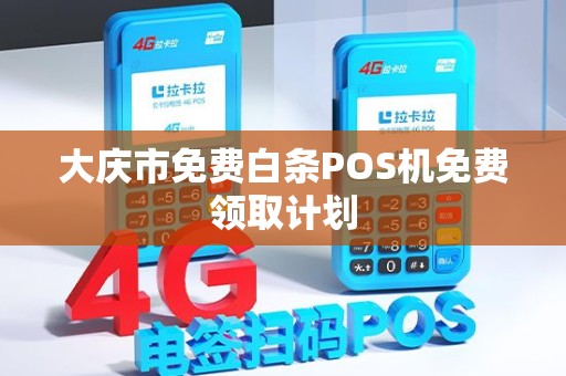 大庆市免费白条POS机免费领取计划