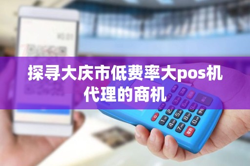 探寻大庆市低费率大pos机代理的商机