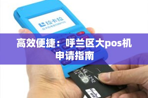 高效便捷：呼兰区大pos机申请指南