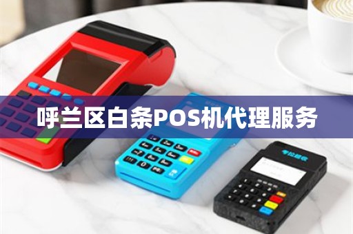 呼兰区白条POS机代理服务