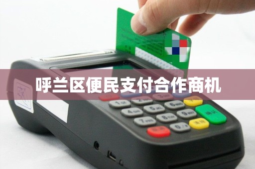 呼兰区便民支付合作商机
