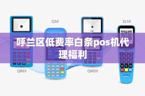 呼兰区低费率白条pos机代理福利