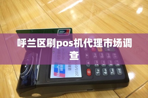 呼兰区刷pos机代理市场调查