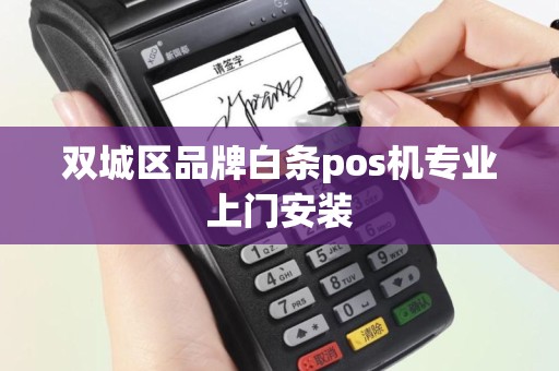 双城区品牌白条pos机专业上门安装