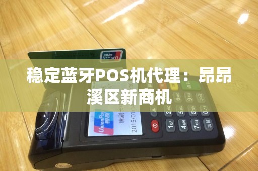 稳定蓝牙POS机代理：昂昂溪区新商机