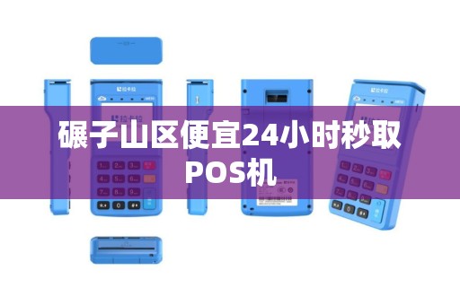 碾子山区便宜24小时秒取POS机