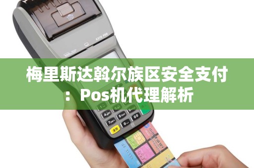 梅里斯达斡尔族区安全支付：Pos机代理解析