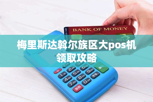 梅里斯达斡尔族区大pos机领取攻略