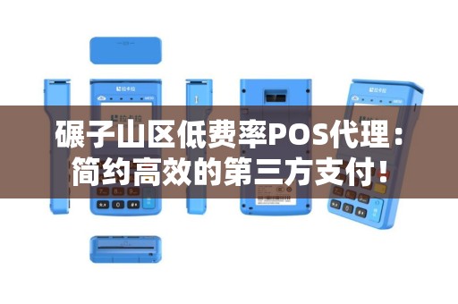 碾子山区低费率POS代理：简约高效的第三方支付！
