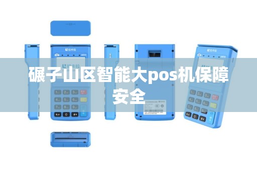 碾子山区智能大pos机保障安全