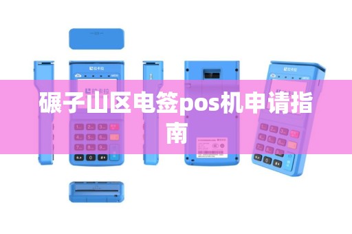 碾子山区电签pos机申请指南