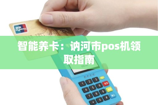 智能养卡：讷河市pos机领取指南