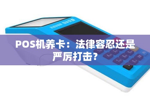 POS机养卡：法律容忍还是严厉打击？