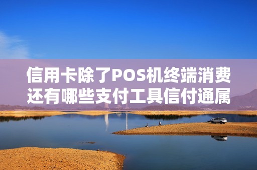 信用卡除了POS机终端消费还有哪些支付工具信付通属于...