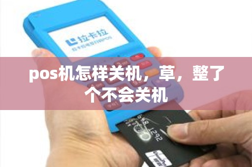 pos机怎样关机，草，整了个不会关机