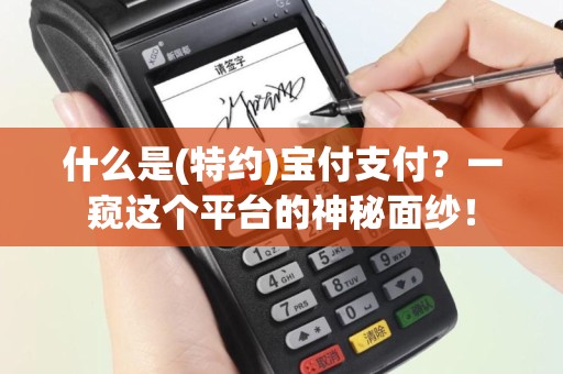 什么是(特约)宝付支付？一窥这个平台的神秘面纱！