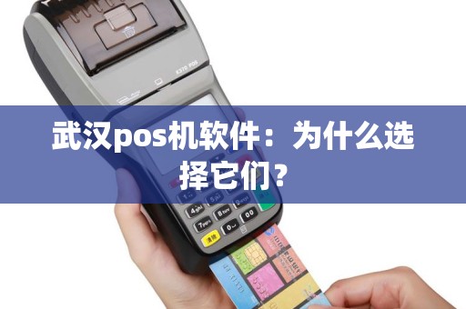 武汉pos机软件：为什么选择它们？