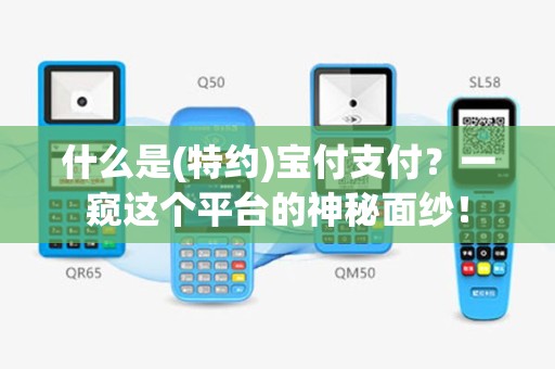什么是(特约)宝付支付？一窥这个平台的神秘面纱！
