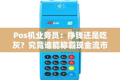 Pos机业务员：挣钱还是吃灰？究竟谁能称霸现金流市场？