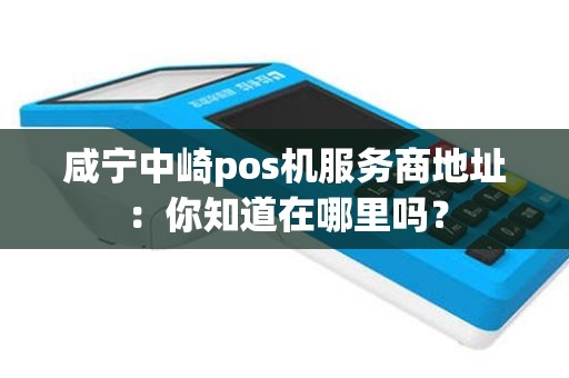 咸宁中崎pos机服务商地址：你知道在哪里吗？
