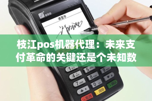 枝江pos机器代理：未来支付革命的关键还是个未知数吗？