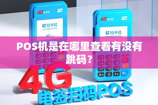 POS机是在哪里查看有没有跳码？