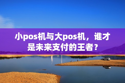 小pos机与大pos机，谁才是未来支付的王者？